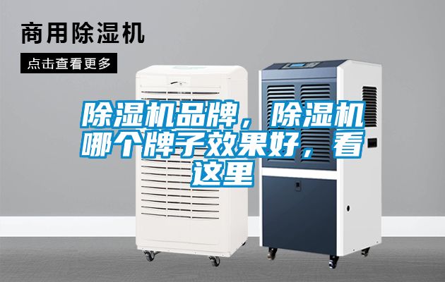 除濕機品牌，除濕機哪個(gè)牌子效果好，看這里