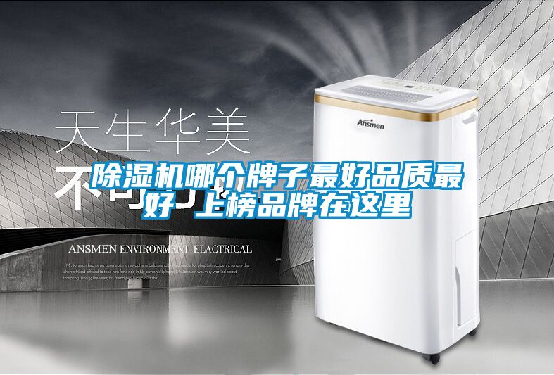 除濕機哪個(gè)牌子最好品質(zhì)最好 上榜品牌在這里