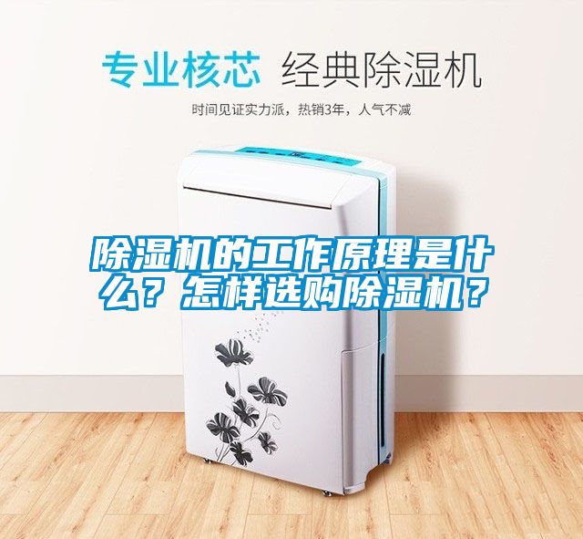 除濕機的工作原理是什么？怎樣選購除濕機？
