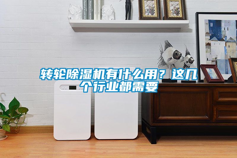 轉輪除濕機有什么用？這幾個(gè)行業(yè)都需要