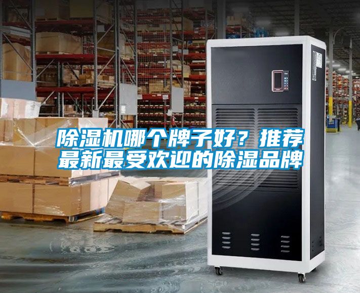 除濕機哪個(gè)牌子好？推薦最新最受歡迎的除濕品牌