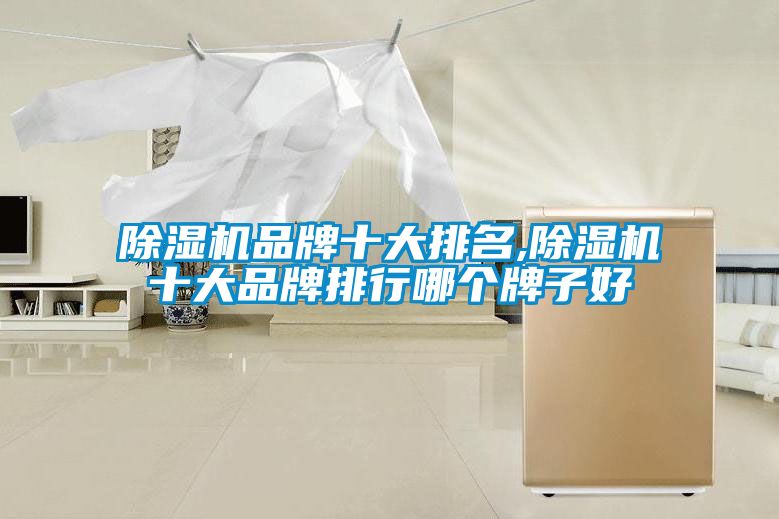 除濕機品牌十大排名,除濕機十大品牌排行哪個(gè)牌子好