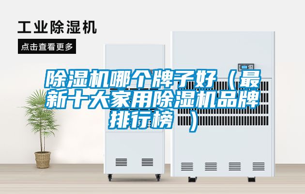 除濕機哪個(gè)牌子好（最新十大家用除濕機品牌排行榜 ）