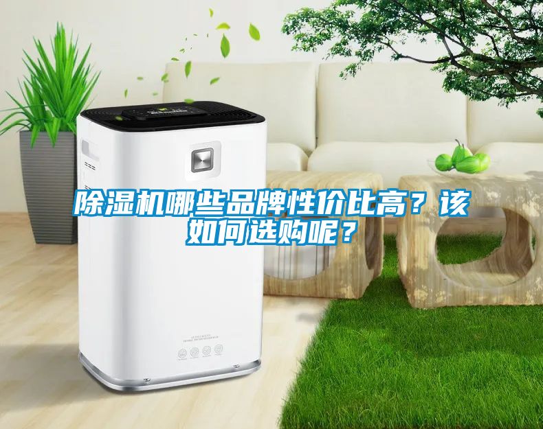 除濕機哪些品牌性?xún)r(jià)比高？該如何選購呢？