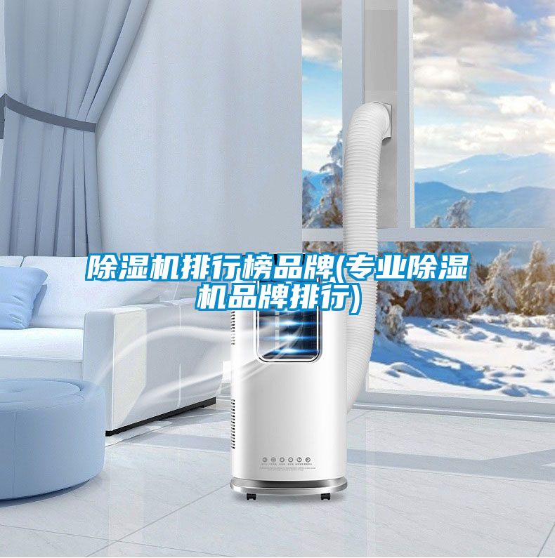 除濕機排行榜品牌(專(zhuān)業(yè)除濕機品牌排行)