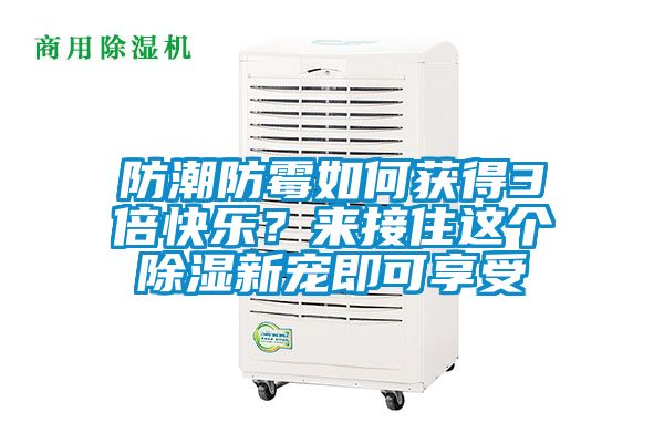 防潮防霉如何獲得3倍快樂(lè )？來(lái)接住這個(gè)除濕新寵即可享受