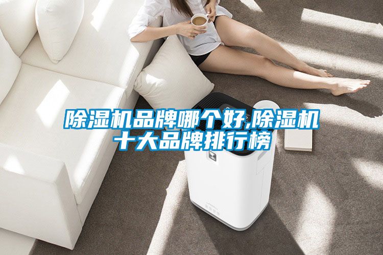 除濕機品牌哪個(gè)好,除濕機十大品牌排行榜