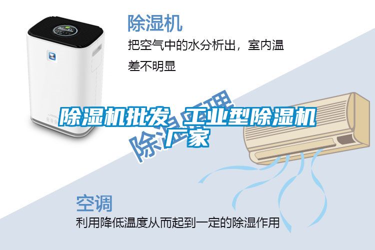 除濕機批發(fā) 工業(yè)型除濕機廠(chǎng)家