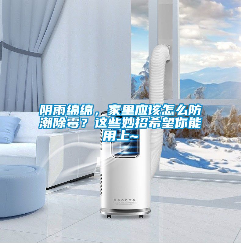 陰雨綿綿，家里應該怎么防潮除霉？這些妙招希望你能用上~