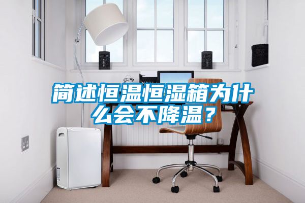 簡(jiǎn)述恒溫恒濕箱為什么會(huì )不降溫？