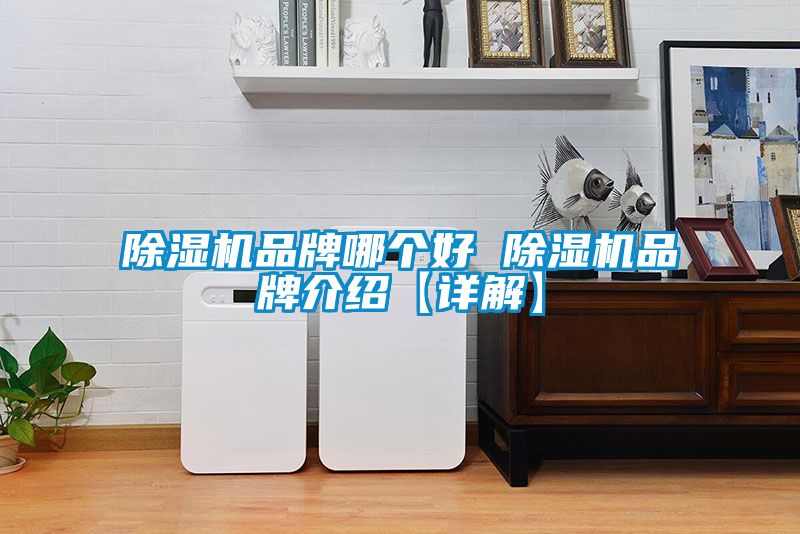 除濕機品牌哪個(gè)好 除濕機品牌介紹【詳解】