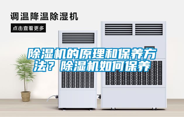 除濕機的原理和保養方法？除濕機如何保養