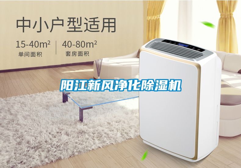 陽(yáng)江新風(fēng)凈化除濕機
