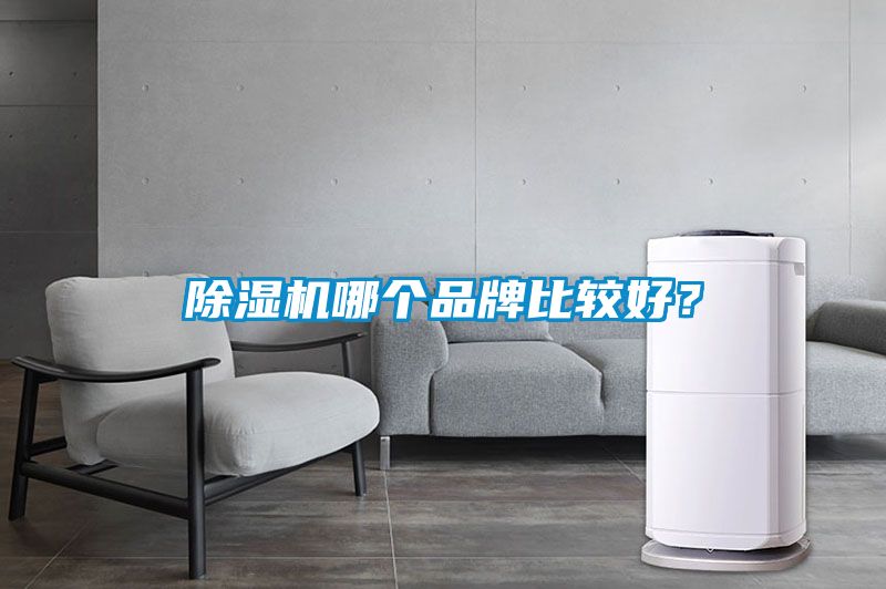 除濕機哪個(gè)品牌比較好？
