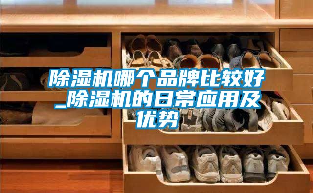 除濕機哪個(gè)品牌比較好_除濕機的日常應用及優(yōu)勢
