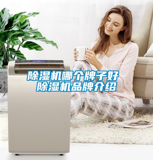除濕機哪個(gè)牌子好 除濕機品牌介紹