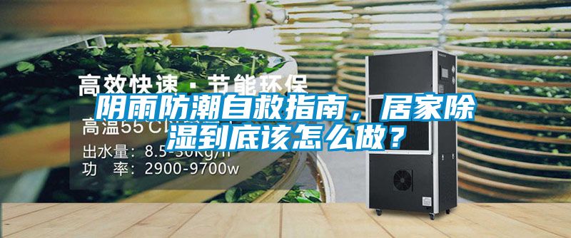 陰雨防潮自救指南，居家除濕到底該怎么做？