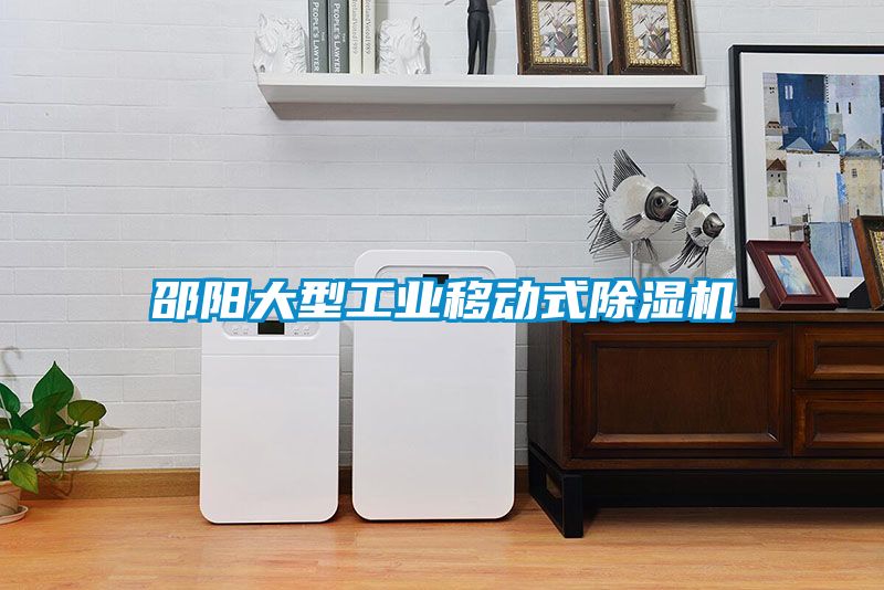 邵陽(yáng)大型工業(yè)移動(dòng)式除濕機