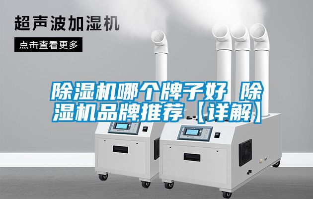 除濕機哪個(gè)牌子好 除濕機品牌推薦【詳解】