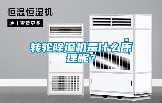 轉輪除濕機是什么原理呢？