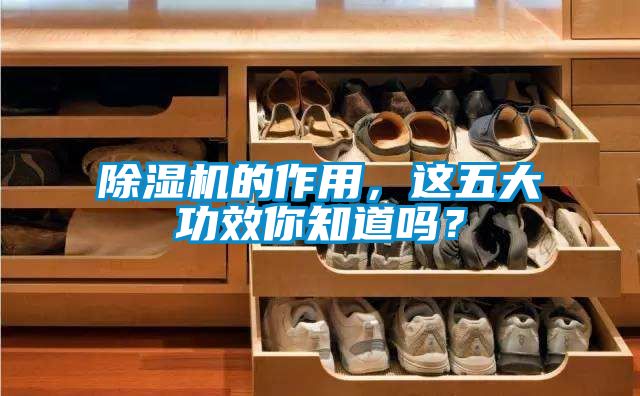 除濕機的作用，這五大功效你知道嗎？