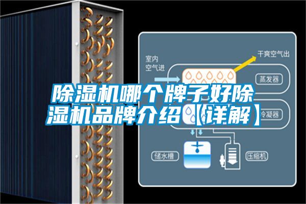 除濕機哪個(gè)牌子好除濕機品牌介紹【詳解】