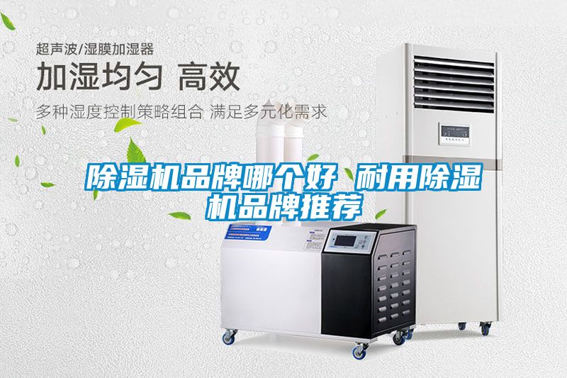 除濕機品牌哪個(gè)好 耐用除濕機品牌推薦