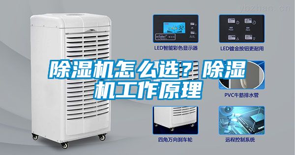 除濕機怎么選？除濕機工作原理