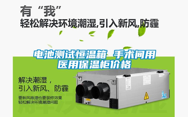 電池測試恒溫箱 手術(shù)間用醫用保溫柜價(jià)格