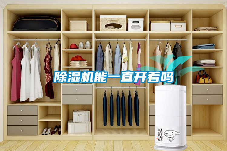 除濕機能一直開(kāi)著(zhù)嗎