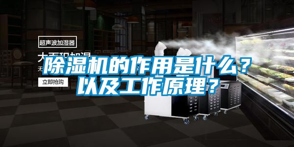 除濕機的作用是什么？以及工作原理？