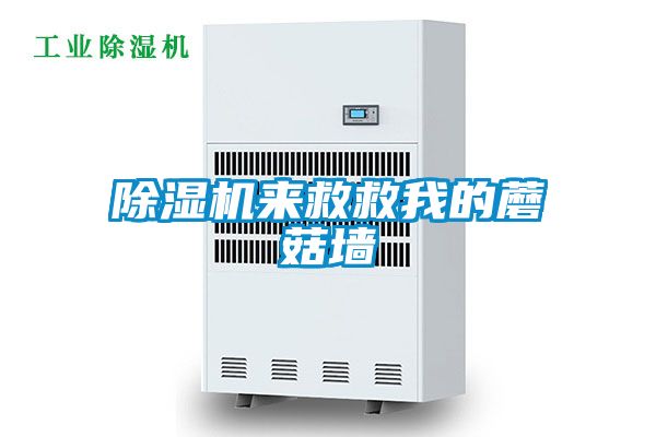 除濕機來(lái)救救我的蘑菇墻