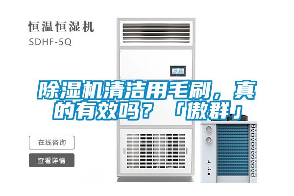 除濕機清潔用毛刷，真的有效嗎？「傲群」