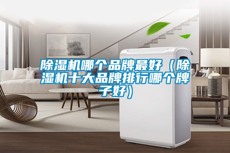 除濕機哪個(gè)品牌最好（除濕機十大品牌排行哪個(gè)牌子好）