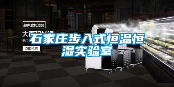 石家莊步入式恒溫恒濕實(shí)驗室
