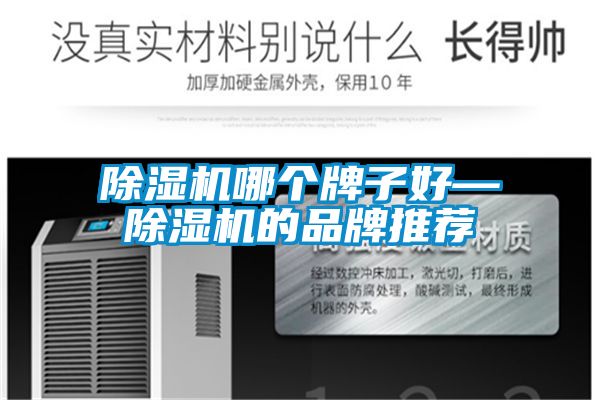 除濕機哪個(gè)牌子好—除濕機的品牌推薦
