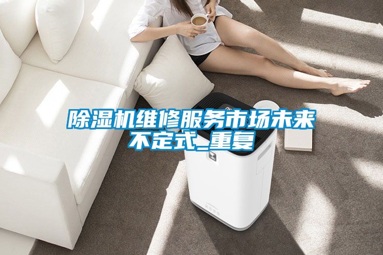 除濕機維修服務(wù)市場(chǎng)未來(lái)不定式_重復