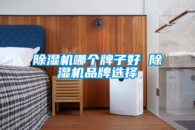除濕機哪個(gè)牌子好 除濕機品牌選擇