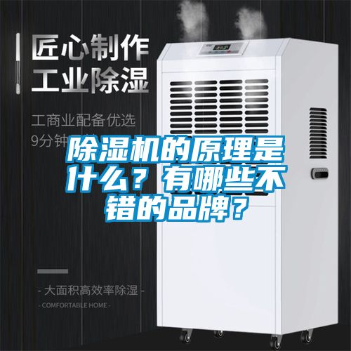 除濕機的原理是什么？有哪些不錯的品牌？