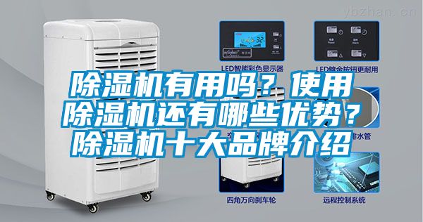 除濕機有用嗎？使用除濕機還有哪些優(yōu)勢？除濕機十大品牌介紹