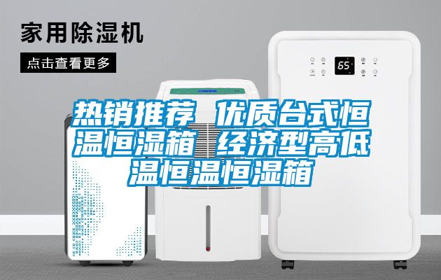 熱銷(xiāo)推薦 優(yōu)質(zhì)臺式恒溫恒濕箱 經(jīng)濟型高低溫恒溫恒濕箱