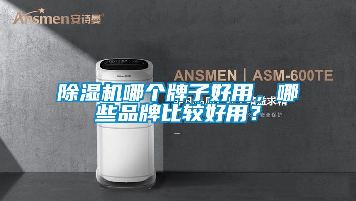 除濕機哪個(gè)牌子好用，哪些品牌比較好用？