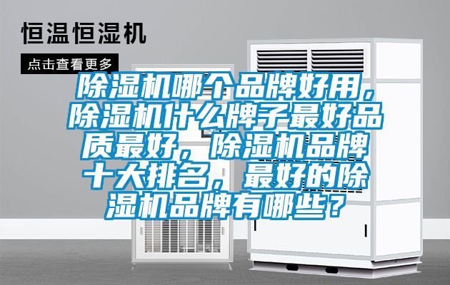 除濕機哪個(gè)品牌好用，除濕機什么牌子最好品質(zhì)最好，除濕機品牌十大排名，最好的除濕機品牌有哪些？