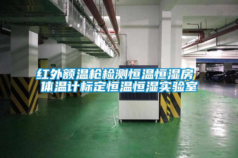 紅外額溫槍檢測恒溫恒濕房 體溫計標定恒溫恒濕實(shí)驗室