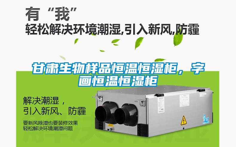 甘肅生物樣品恒溫恒濕柜，字畫(huà)恒溫恒濕柜
