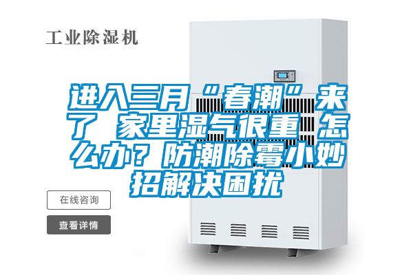 進(jìn)入三月“春潮”來(lái)了 家里濕氣很重 怎么辦？防潮除霉小妙招解決困擾