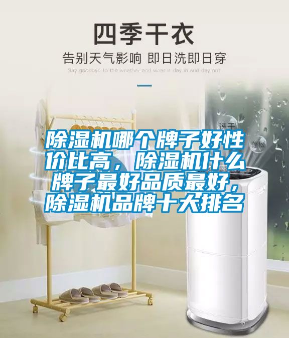 除濕機哪個(gè)牌子好性?xún)r(jià)比高，除濕機什么牌子最好品質(zhì)最好，除濕機品牌十大排名