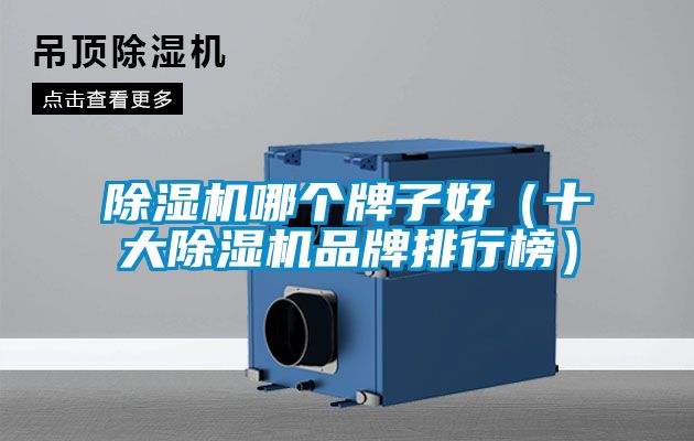 除濕機哪個(gè)牌子好（十大除濕機品牌排行榜）