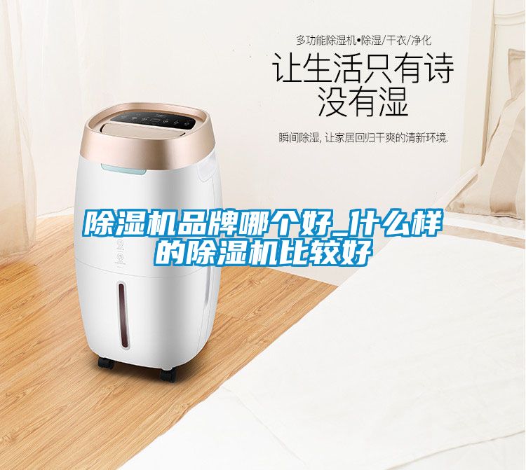 除濕機品牌哪個(gè)好_什么樣的除濕機比較好