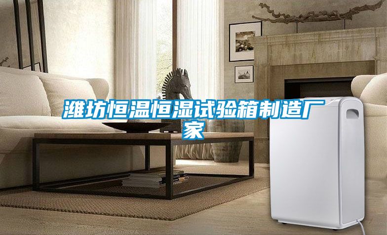 濰坊恒溫恒濕試驗箱制造廠(chǎng)家
